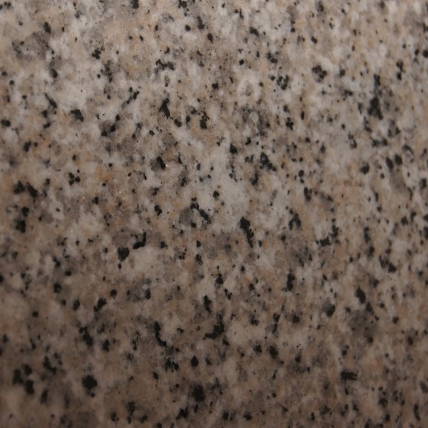 Champagne Granite Worktops colour reference