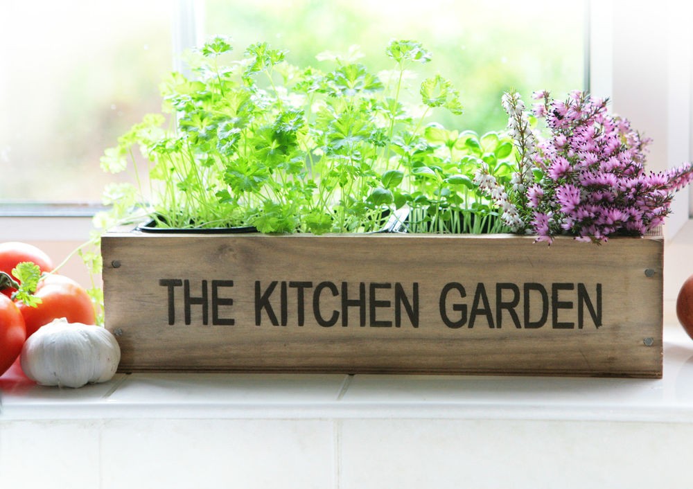 Kitchen garden. Кухонный сад. Гарден Китчен Garden Kitchen. Пряные травы в оконных ящиков. Ящики с лекарственными растениями.